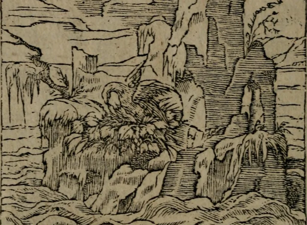 An illustration from Diverse imprese accommodate a diuerse moralità : con versi che i loro significati dichiarano insieme con molte altre nella lingua Italiana non piu tradotte, 1551, leaf 169