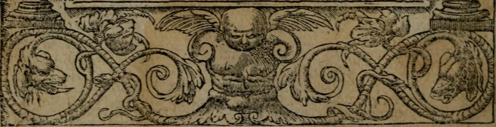 An illustration from Diverse imprese accommodate a diuerse moralità : con versi che i loro significati dichiarano insieme con molte altre nella lingua Italiana non piu tradotte, 1551, leaf 17