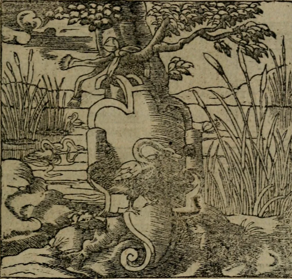 An illustration from Diverse imprese accommodate a diuerse moralità : con versi che i loro significati dichiarano insieme con molte altre nella lingua Italiana non piu tradotte, 1551, leaf 172