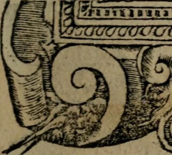 An illustration from Diverse imprese accommodate a diuerse moralità : con versi che i loro significati dichiarano insieme con molte altre nella lingua Italiana non piu tradotte, 1551, leaf 172