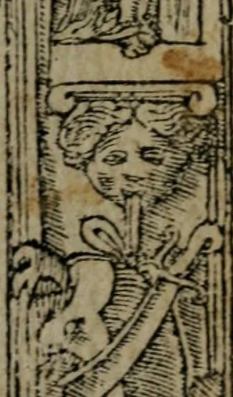 An illustration from Diverse imprese accommodate a diuerse moralità : con versi che i loro significati dichiarano insieme con molte altre nella lingua Italiana non piu tradotte, 1551, leaf 18