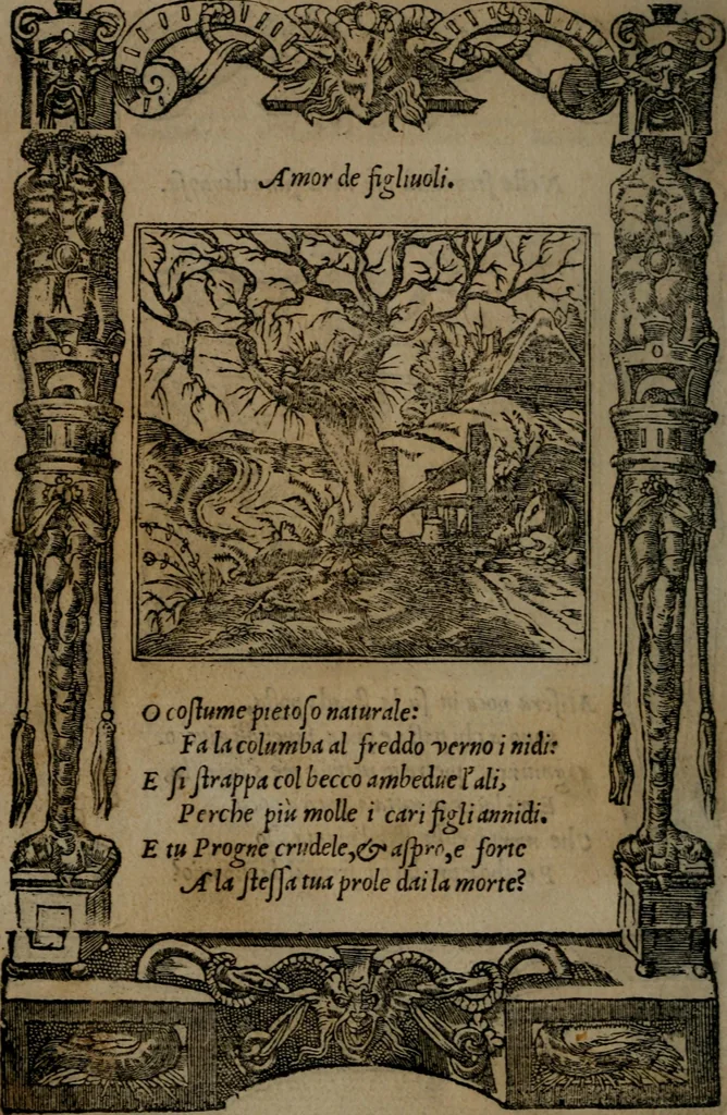 An illustration from Diverse imprese accommodate a diuerse moralità : con versi che i loro significati dichiarano insieme con molte altre nella lingua Italiana non piu tradotte, 1551, leaf 181