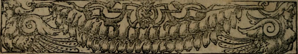 An illustration from Diverse imprese accommodate a diuerse moralità : con versi che i loro significati dichiarano insieme con molte altre nella lingua Italiana non piu tradotte, 1551, leaf 183