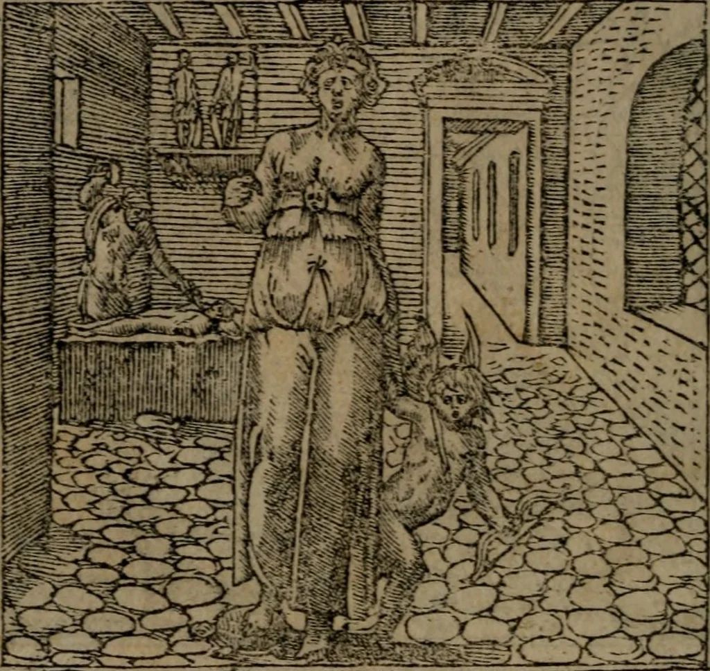 An illustration from Diverse imprese accommodate a diuerse moralità : con versi che i loro significati dichiarano insieme con molte altre nella lingua Italiana non piu tradotte, 1551, leaf 183