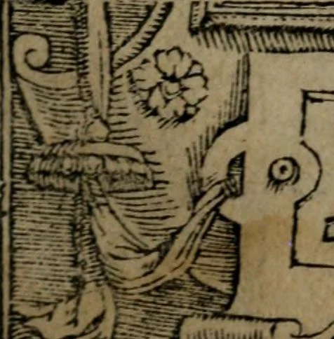 An illustration from Diverse imprese accommodate a diuerse moralità : con versi che i loro significati dichiarano insieme con molte altre nella lingua Italiana non piu tradotte, 1551, leaf 184