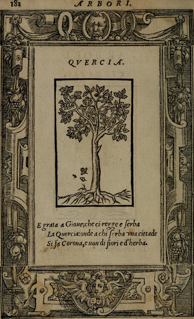 An illustration from Diverse imprese accommodate a diuerse moralità : con versi che i loro significati dichiarano insieme con molte altre nella lingua Italiana non piu tradotte, 1551, leaf 185