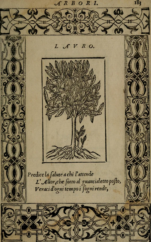 An illustration from Diverse imprese accommodate a diuerse moralità : con versi che i loro significati dichiarano insieme con molte altre nella lingua Italiana non piu tradotte, 1551, leaf 186