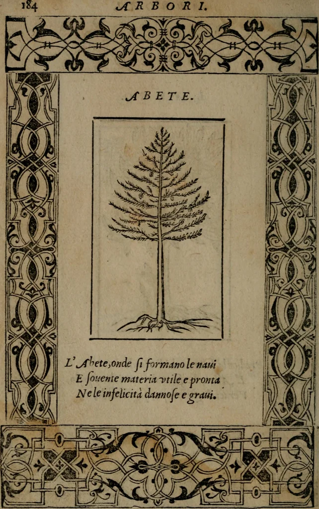 An illustration from Diverse imprese accommodate a diuerse moralità : con versi che i loro significati dichiarano insieme con molte altre nella lingua Italiana non piu tradotte, 1551, leaf 187