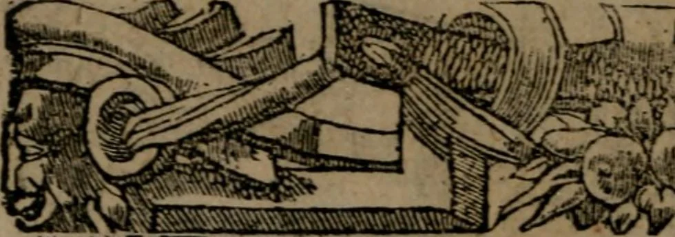An illustration from Diverse imprese accommodate a diuerse moralità : con versi che i loro significati dichiarano insieme con molte altre nella lingua Italiana non piu tradotte, 1551, leaf 189
