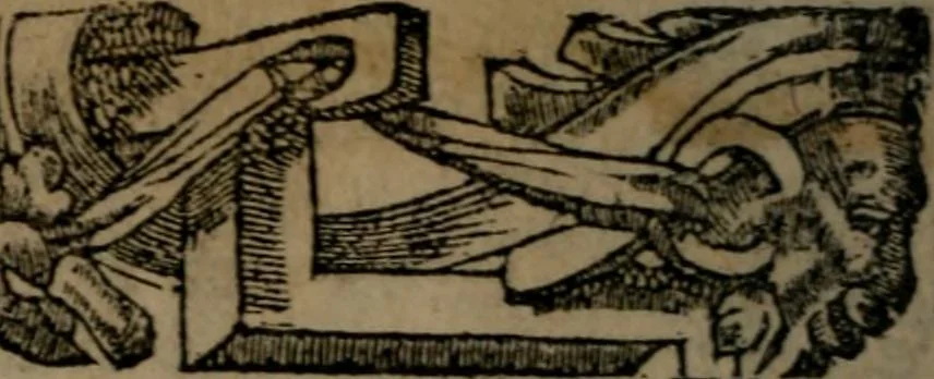 An illustration from Diverse imprese accommodate a diuerse moralità : con versi che i loro significati dichiarano insieme con molte altre nella lingua Italiana non piu tradotte, 1551, leaf 189