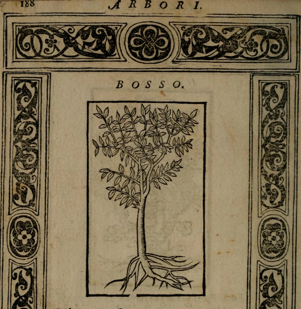 An illustration from Diverse imprese accommodate a diuerse moralità : con versi che i loro significati dichiarano insieme con molte altre nella lingua Italiana non piu tradotte, 1551, leaf 191