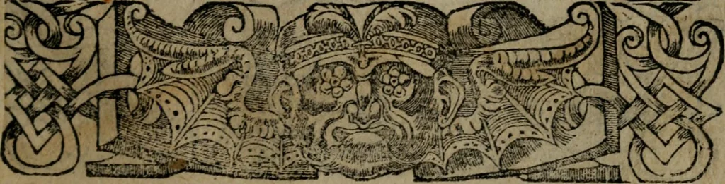 An illustration from Diverse imprese accommodate a diuerse moralità : con versi che i loro significati dichiarano insieme con molte altre nella lingua Italiana non piu tradotte, 1551, leaf 192
