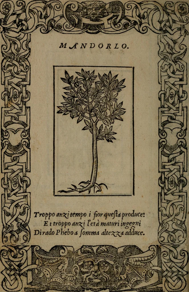 An illustration from Diverse imprese accommodate a diuerse moralità : con versi che i loro significati dichiarano insieme con molte altre nella lingua Italiana non piu tradotte, 1551, leaf 193