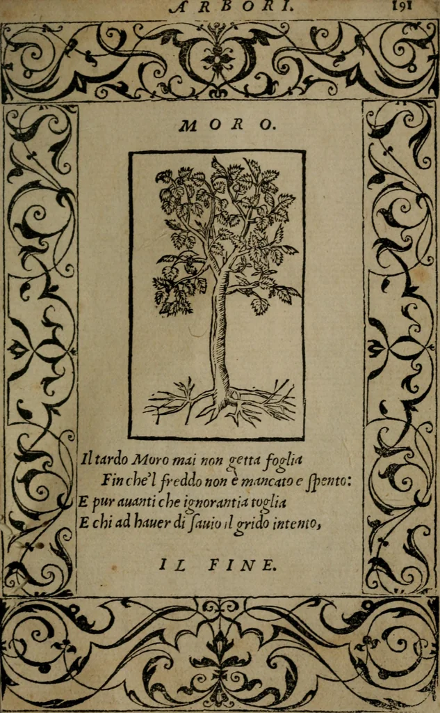An illustration from Diverse imprese accommodate a diuerse moralità : con versi che i loro significati dichiarano insieme con molte altre nella lingua Italiana non piu tradotte, 1551, leaf 194