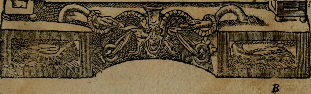 An illustration from Diverse imprese accommodate a diuerse moralità : con versi che i loro significati dichiarano insieme con molte altre nella lingua Italiana non piu tradotte, 1551, leaf 20