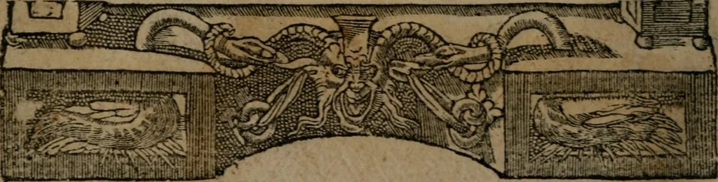 An illustration from Diverse imprese accommodate a diuerse moralità : con versi che i loro significati dichiarano insieme con molte altre nella lingua Italiana non piu tradotte, 1551, leaf 21