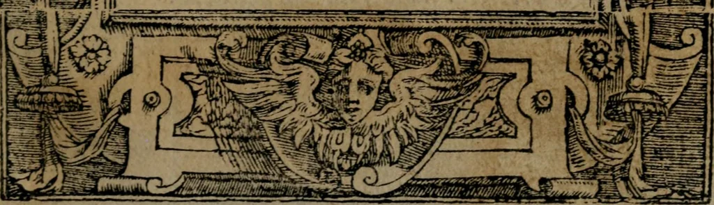 An illustration from Diverse imprese accommodate a diuerse moralità : con versi che i loro significati dichiarano insieme con molte altre nella lingua Italiana non piu tradotte, 1551, leaf 24