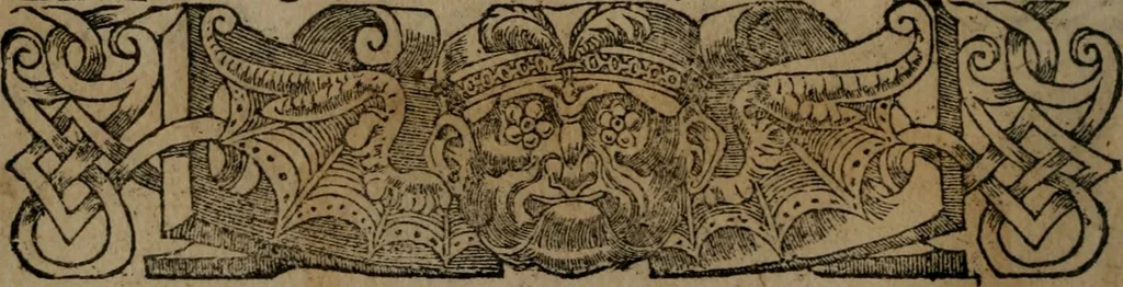 An illustration from Diverse imprese accommodate a diuerse moralità : con versi che i loro significati dichiarano insieme con molte altre nella lingua Italiana non piu tradotte, 1551, leaf 33