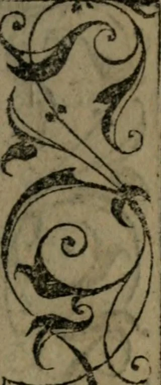 An illustration from Diverse imprese accommodate a diuerse moralità : con versi che i loro significati dichiarano insieme con molte altre nella lingua Italiana non piu tradotte, 1551, leaf 34