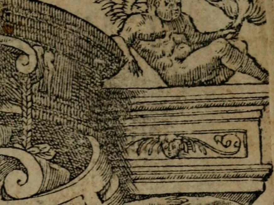 An illustration from Diverse imprese accommodate a diuerse moralità : con versi che i loro significati dichiarano insieme con molte altre nella lingua Italiana non piu tradotte, 1551, leaf 4