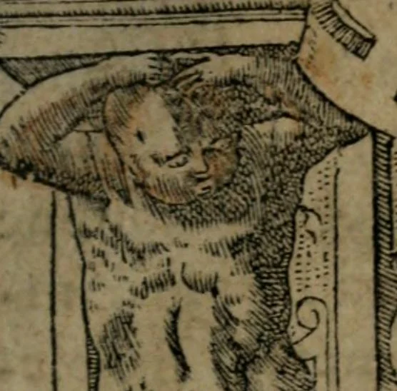 An illustration from Diverse imprese accommodate a diuerse moralità : con versi che i loro significati dichiarano insieme con molte altre nella lingua Italiana non piu tradotte, 1551, leaf 4