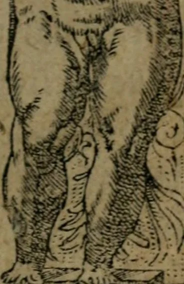 An illustration from Diverse imprese accommodate a diuerse moralità : con versi che i loro significati dichiarano insieme con molte altre nella lingua Italiana non piu tradotte, 1551, leaf 4