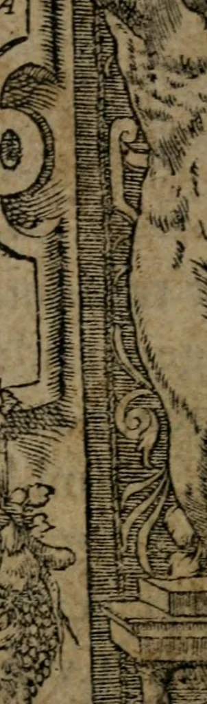 An illustration from Diverse imprese accommodate a diuerse moralità : con versi che i loro significati dichiarano insieme con molte altre nella lingua Italiana non piu tradotte, 1551, leaf 4