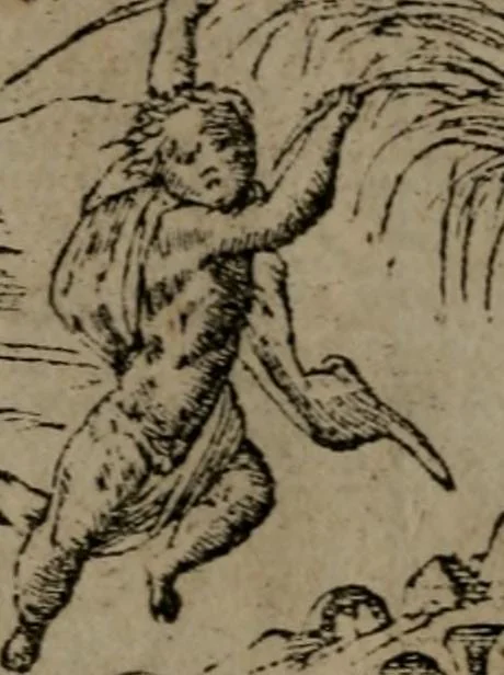An illustration from Diverse imprese accommodate a diuerse moralità : con versi che i loro significati dichiarano insieme con molte altre nella lingua Italiana non piu tradotte, 1551, leaf 41
