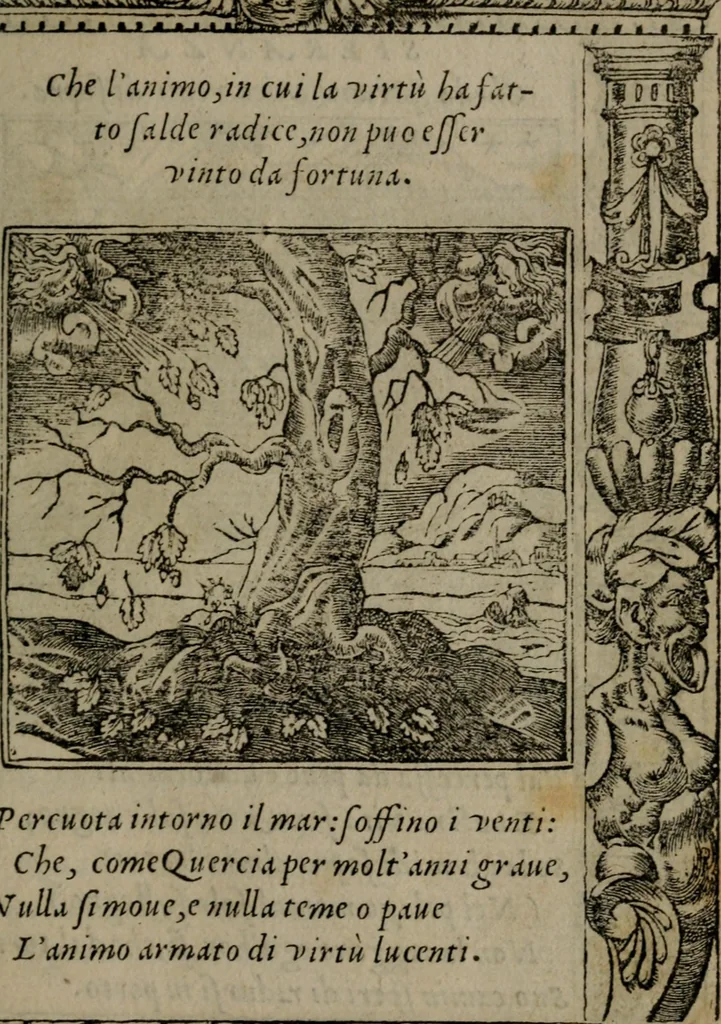 An illustration from Diverse imprese accommodate a diuerse moralità : con versi che i loro significati dichiarano insieme con molte altre nella lingua Italiana non piu tradotte, 1551, leaf 46