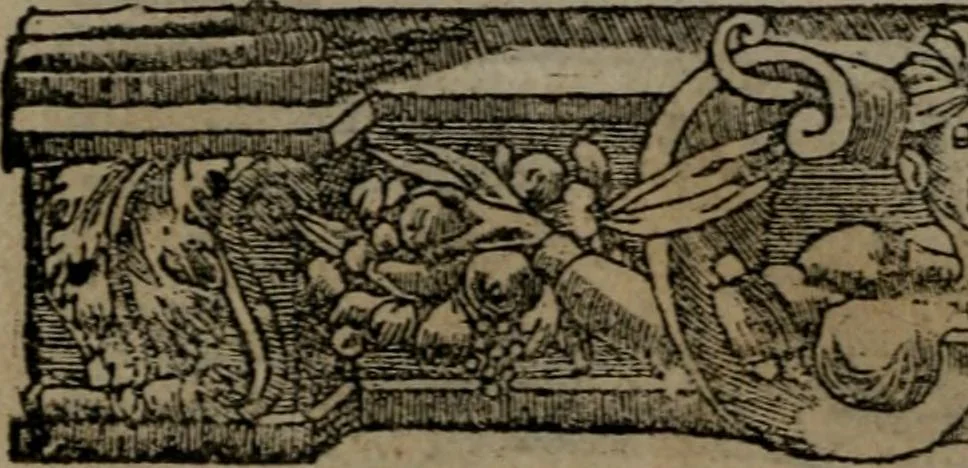 An illustration from Diverse imprese accommodate a diuerse moralità : con versi che i loro significati dichiarano insieme con molte altre nella lingua Italiana non piu tradotte, 1551, leaf 49