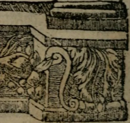 An illustration from Diverse imprese accommodate a diuerse moralità : con versi che i loro significati dichiarano insieme con molte altre nella lingua Italiana non piu tradotte, 1551, leaf 49