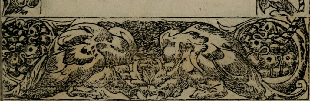 An illustration from Diverse imprese accommodate a diuerse moralità : con versi che i loro significati dichiarano insieme con molte altre nella lingua Italiana non piu tradotte, 1551, leaf 50