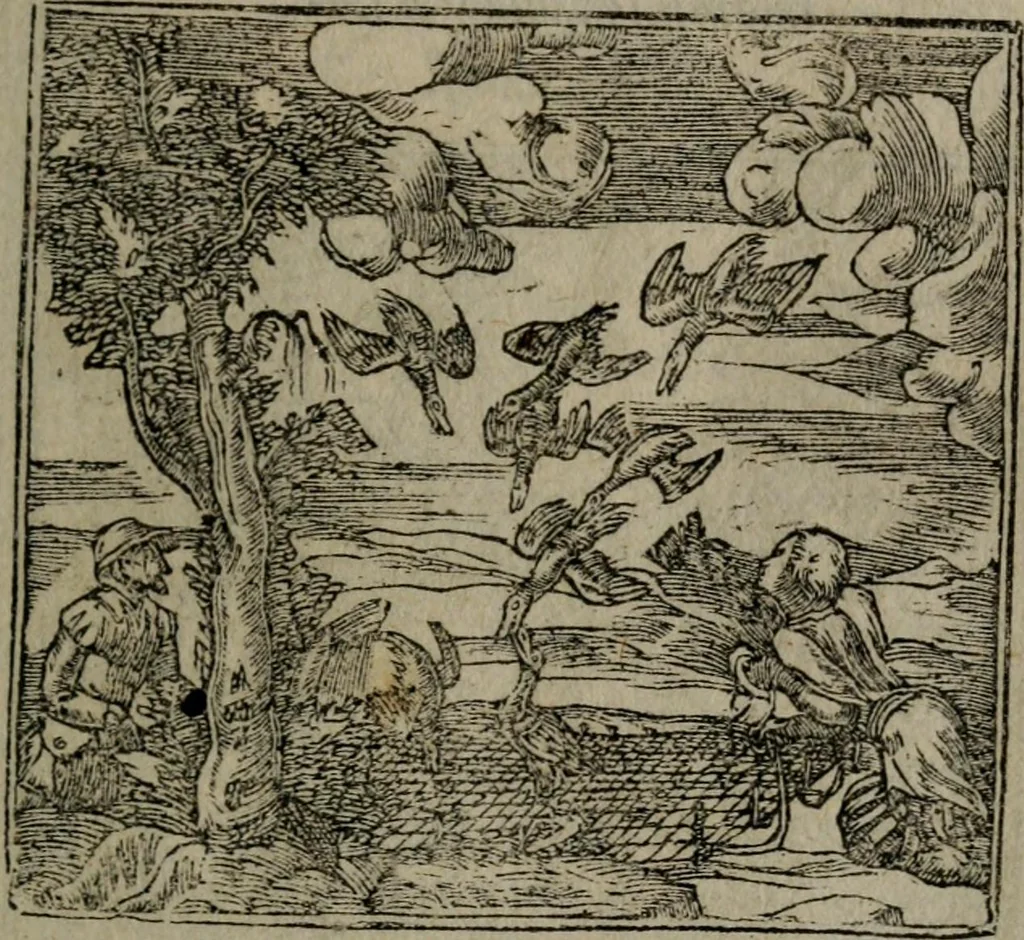 An illustration from Diverse imprese accommodate a diuerse moralità : con versi che i loro significati dichiarano insieme con molte altre nella lingua Italiana non piu tradotte, 1551, leaf 56