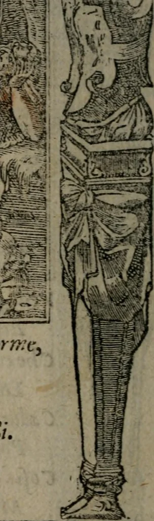 An illustration from Diverse imprese accommodate a diuerse moralità : con versi che i loro significati dichiarano insieme con molte altre nella lingua Italiana non piu tradotte, 1551, leaf 63