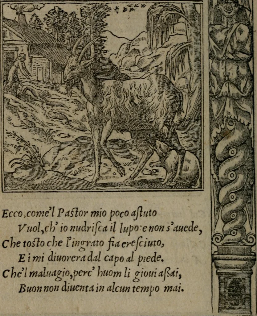 An illustration from Diverse imprese accommodate a diuerse moralità : con versi che i loro significati dichiarano insieme con molte altre nella lingua Italiana non piu tradotte, 1551, leaf 67