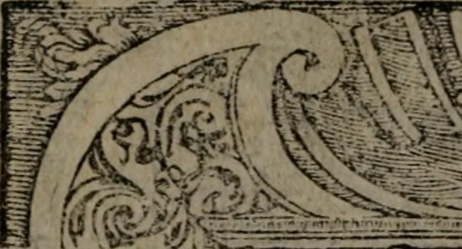 An illustration from Diverse imprese accommodate a diuerse moralità : con versi che i loro significati dichiarano insieme con molte altre nella lingua Italiana non piu tradotte, 1551, leaf 7