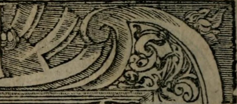 An illustration from Diverse imprese accommodate a diuerse moralità : con versi che i loro significati dichiarano insieme con molte altre nella lingua Italiana non piu tradotte, 1551, leaf 7