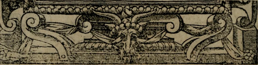 An illustration from Diverse imprese accommodate a diuerse moralità : con versi che i loro significati dichiarano insieme con molte altre nella lingua Italiana non piu tradotte, 1551, leaf 73