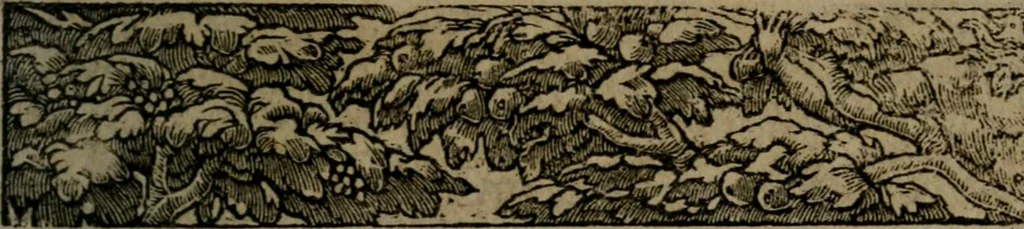 An illustration from Diverse imprese accommodate a diuerse moralità : con versi che i loro significati dichiarano insieme con molte altre nella lingua Italiana non piu tradotte, 1551, leaf 76