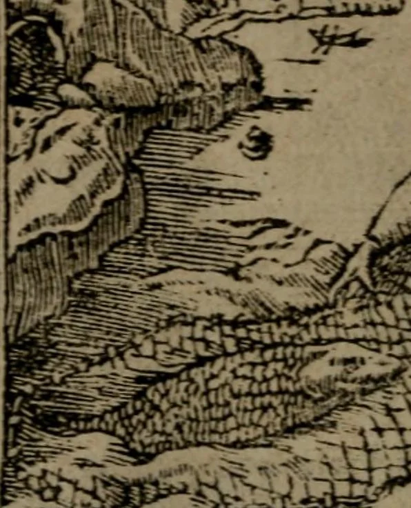 An illustration from Diverse imprese accommodate a diuerse moralità : con versi che i loro significati dichiarano insieme con molte altre nella lingua Italiana non piu tradotte, 1551, leaf 77