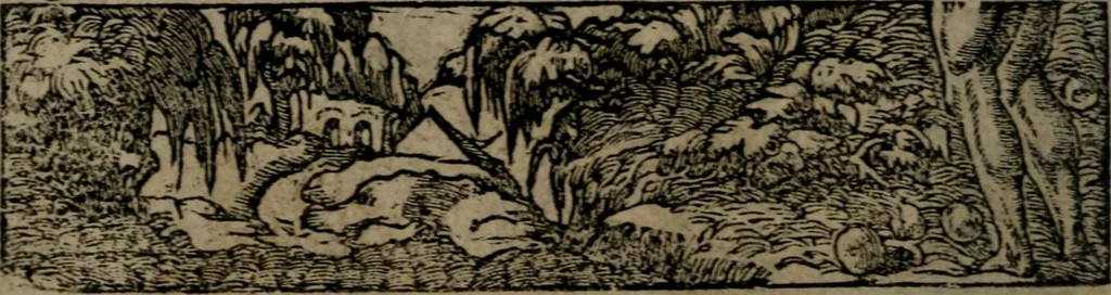 An illustration from Diverse imprese accommodate a diuerse moralità : con versi che i loro significati dichiarano insieme con molte altre nella lingua Italiana non piu tradotte, 1551, leaf 77