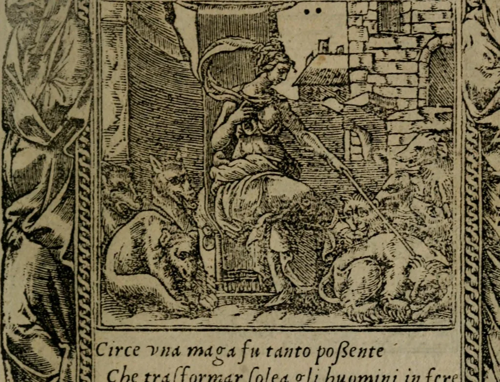 An illustration from Diverse imprese accommodate a diuerse moralità : con versi che i loro significati dichiarano insieme con molte altre nella lingua Italiana non piu tradotte, 1551, leaf 78