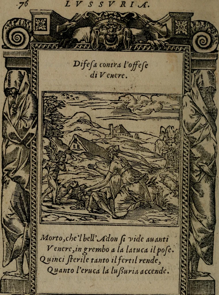 An illustration from Diverse imprese accommodate a diuerse moralità : con versi che i loro significati dichiarano insieme con molte altre nella lingua Italiana non piu tradotte, 1551, leaf 79