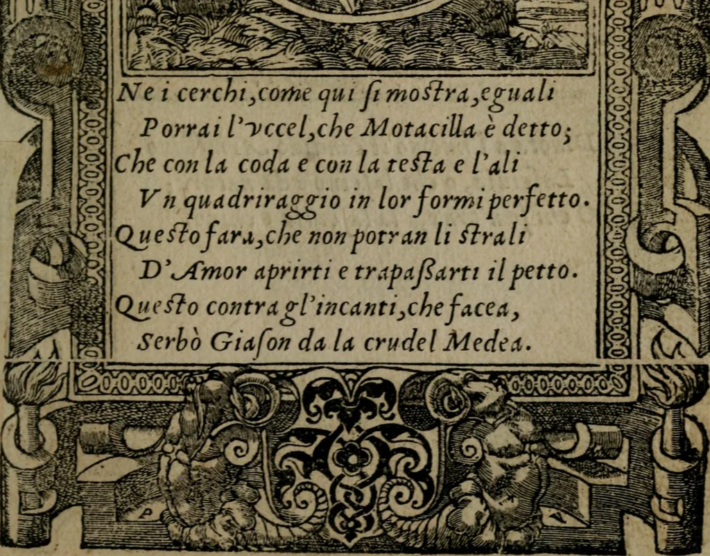 An illustration from Diverse imprese accommodate a diuerse moralità : con versi che i loro significati dichiarano insieme con molte altre nella lingua Italiana non piu tradotte, 1551, leaf 80