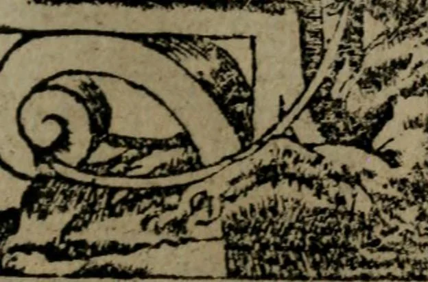 An illustration from Diverse imprese accommodate a diuerse moralità : con versi che i loro significati dichiarano insieme con molte altre nella lingua Italiana non piu tradotte, 1551, leaf 82