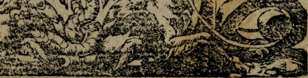 An illustration from Diverse imprese accommodate a diuerse moralità : con versi che i loro significati dichiarano insieme con molte altre nella lingua Italiana non piu tradotte, 1551, leaf 82