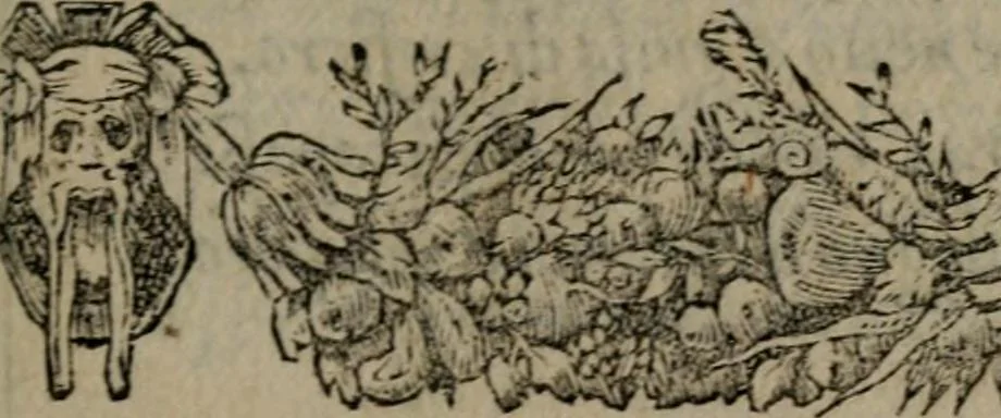An illustration from Diverse imprese accommodate a diuerse moralità : con versi che i loro significati dichiarano insieme con molte altre nella lingua Italiana non piu tradotte, 1551, leaf 88