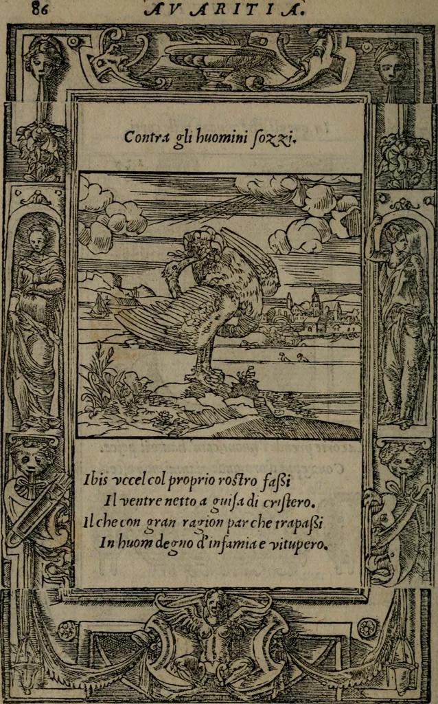 An illustration from Diverse imprese accommodate a diuerse moralità : con versi che i loro significati dichiarano insieme con molte altre nella lingua Italiana non piu tradotte, 1551, leaf 89