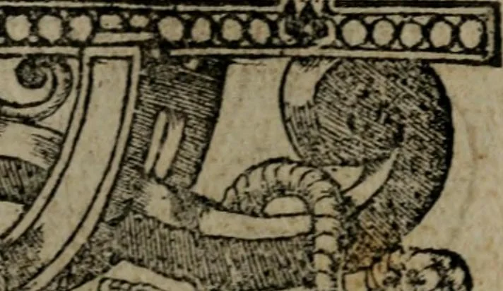 An illustration from Diverse imprese accommodate a diuerse moralità : con versi che i loro significati dichiarano insieme con molte altre nella lingua Italiana non piu tradotte, 1551, leaf 96
