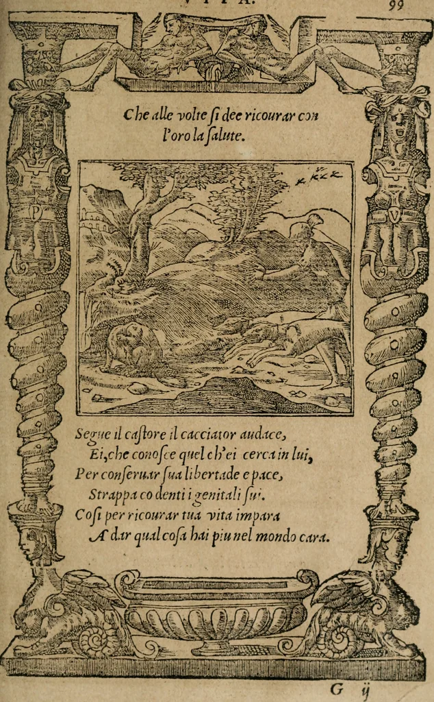 An illustration from Diverse imprese accomodate a diuerse moralità : con versi che i loro significati dichiarano : Tratte da gli Emblemi dell' Alciato, 1549, leaf 102
